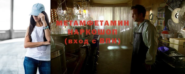 хмурый Аркадак