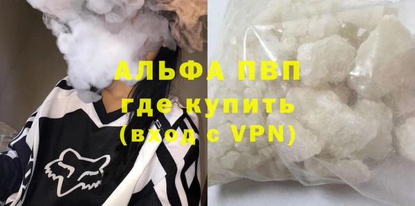 хмурый Аркадак