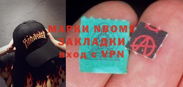 хмурый Аркадак