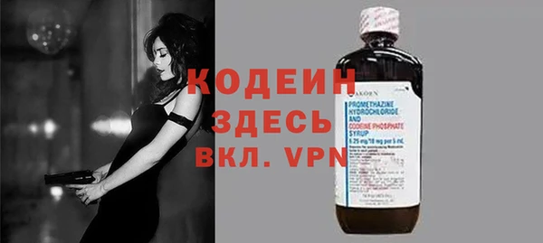 хмурый Аркадак