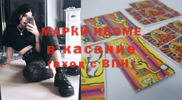 хмурый Аркадак