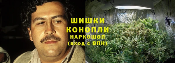 хмурый Аркадак