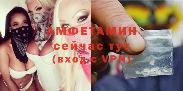 хмурый Аркадак