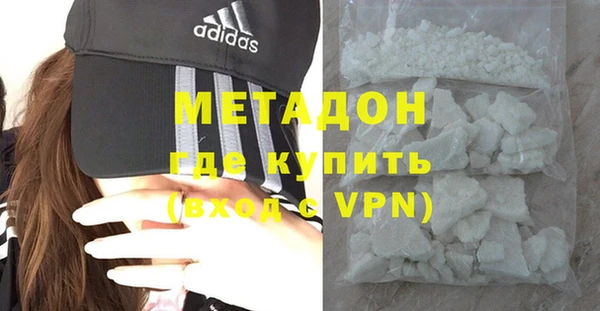 хмурый Аркадак