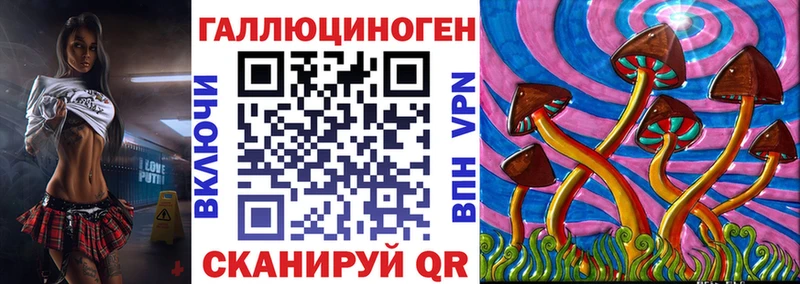 Купить где  Котельнич  Псилоцибиновые грибы Magic Shrooms 